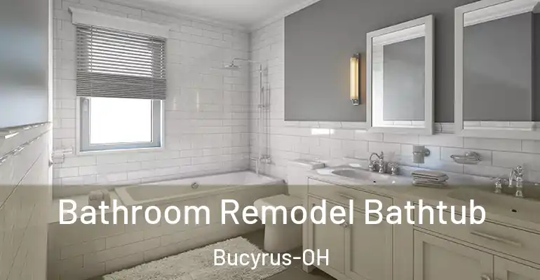 inner Bathroom imggen Bathroom Remodel Bathtub Bucyrus-OH
