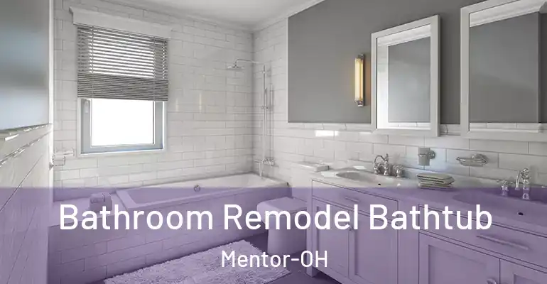 inner Bathroom imggen Bathroom Remodel Bathtub Mentor-OH