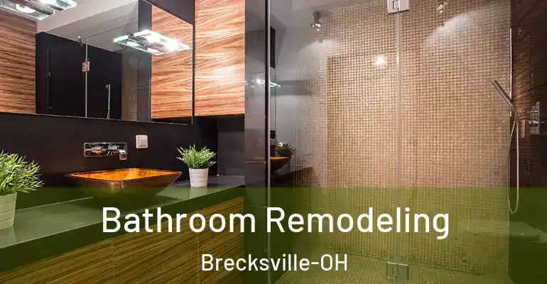 inner Bathroom imggen Bathroom Remodeling Brecksville-OH