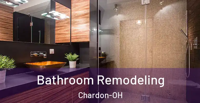 inner Bathroom imggen Bathroom Remodeling Chardon-OH