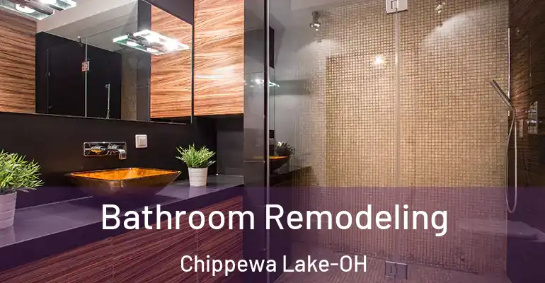 inner Bathroom imggen Bathroom Remodeling Chippewa Lake-OH