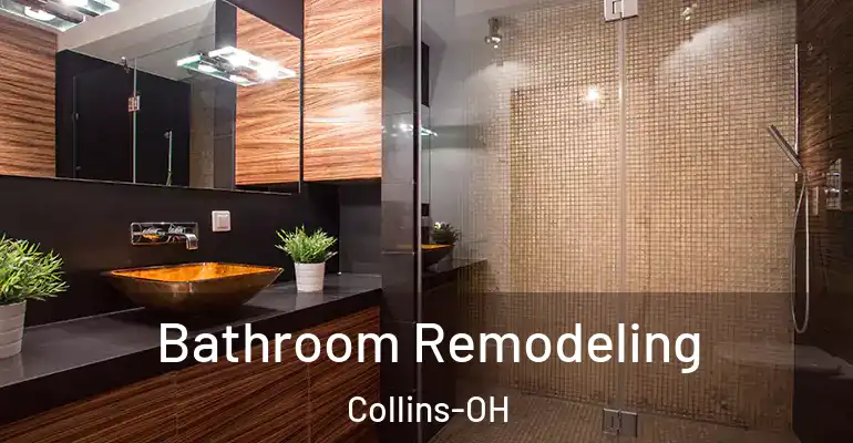 inner Bathroom imggen Bathroom Remodeling Collins-OH
