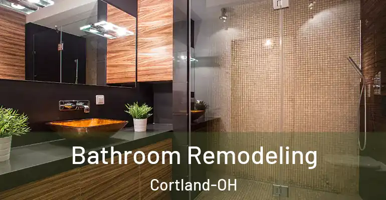 inner Bathroom imggen Bathroom Remodeling Cortland-OH