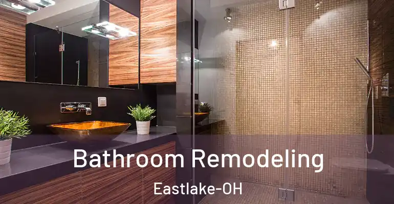 inner Bathroom imggen Bathroom Remodeling Eastlake-OH