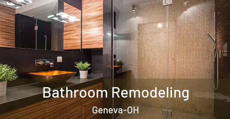 inner Bathroom imggen Bathroom Remodeling Geneva-OH