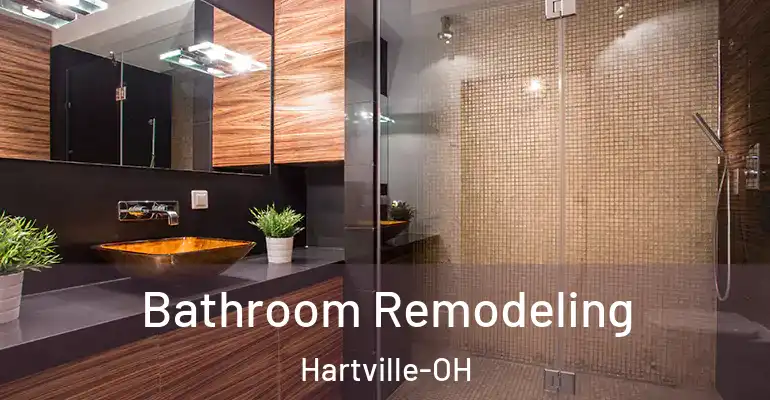 inner Bathroom imggen Bathroom Remodeling Hartville-OH