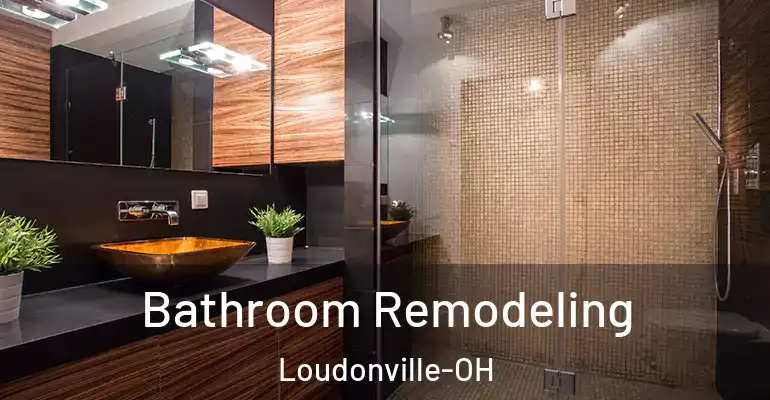 inner Bathroom imggen Bathroom Remodeling Loudonville-OH