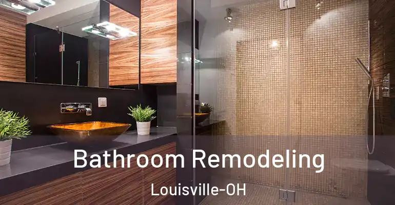 inner Bathroom imggen Bathroom Remodeling Louisville-OH