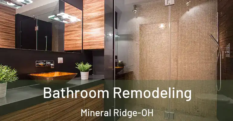 inner Bathroom imggen Bathroom Remodeling Mineral Ridge-OH