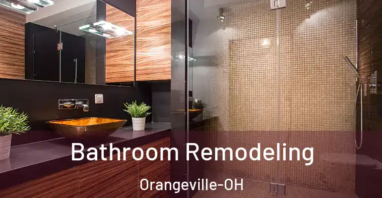 inner Bathroom imggen Bathroom Remodeling Orangeville-OH