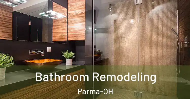 inner Bathroom imggen Bathroom Remodeling Parma-OH
