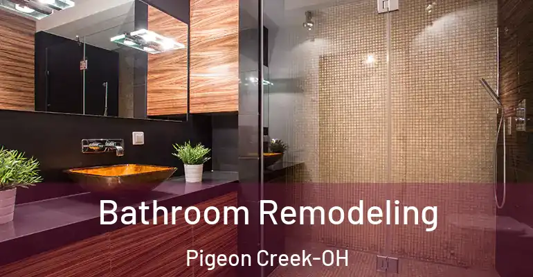 inner Bathroom imggen Bathroom Remodeling Pigeon Creek-OH