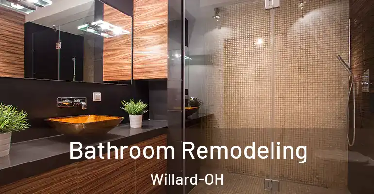 inner Bathroom imggen Bathroom Remodeling Willard-OH