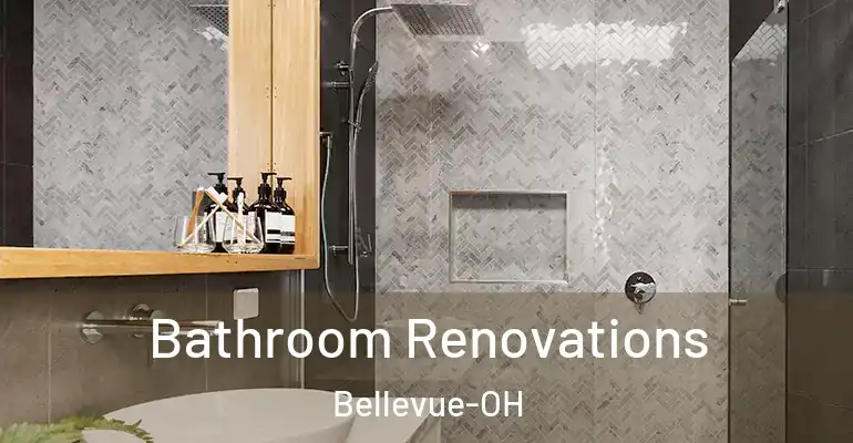 inner Bathroom imggen Bathroom Renovations Bellevue-OH