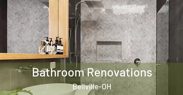 inner Bathroom imggen Bathroom Renovations Bellville-OH