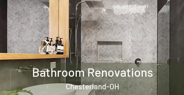 inner Bathroom imggen Bathroom Renovations Chesterland-OH