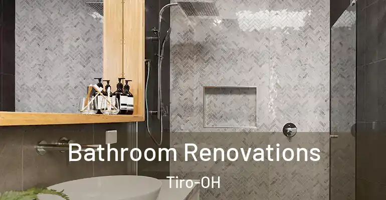 inner Bathroom imggen Bathroom Renovations Tiro-OH