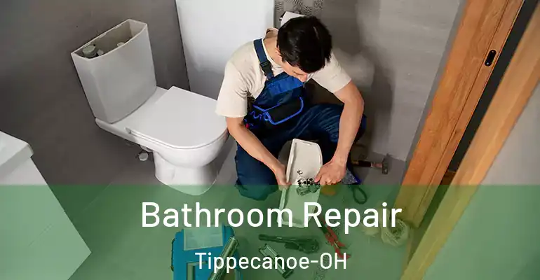 inner Bathroom imggen Bathroom Repair Tippecanoe-OH