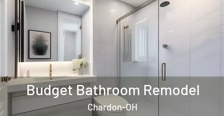 inner Bathroom imggen Budget Bathroom Remodel Chardon-OH