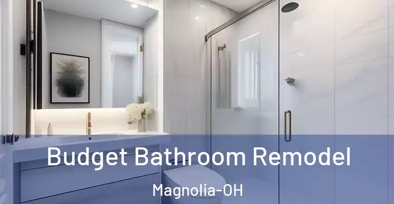 inner Bathroom imggen Budget Bathroom Remodel Magnolia-OH