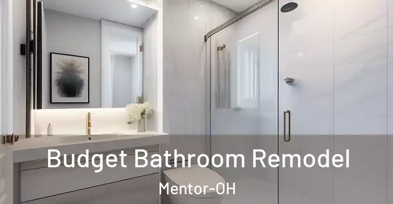 inner Bathroom imggen Budget Bathroom Remodel Mentor-OH