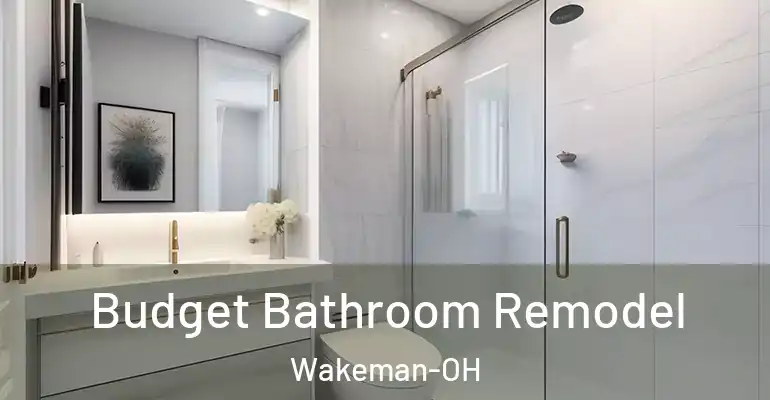 inner Bathroom imggen Budget Bathroom Remodel Wakeman-OH