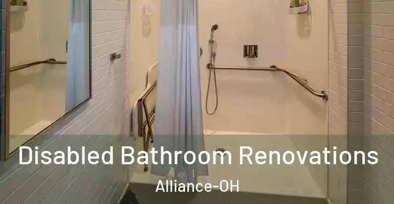 inner Bathroom imggen Disabled Bathroom Renovations Alliance-OH