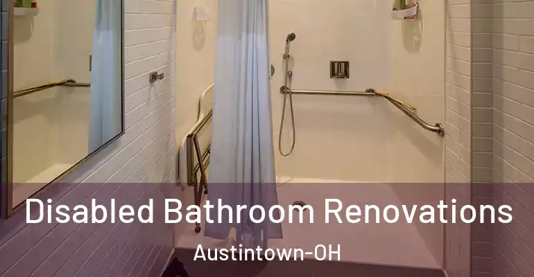 inner Bathroom imggen Disabled Bathroom Renovations Austintown-OH