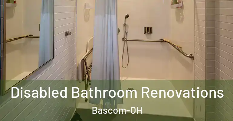 inner Bathroom imggen Disabled Bathroom Renovations Bascom-OH