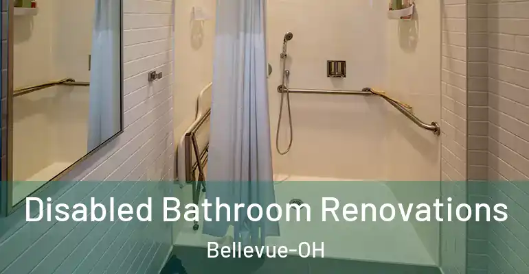 inner Bathroom imggen Disabled Bathroom Renovations Bellevue-OH