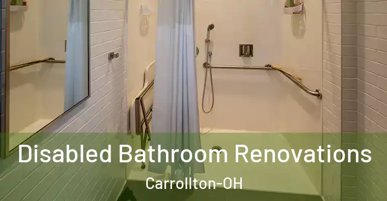 inner Bathroom imggen Disabled Bathroom Renovations Carrollton-OH