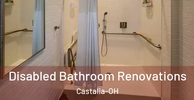 inner Bathroom imggen Disabled Bathroom Renovations Castalia-OH