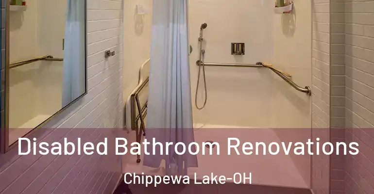inner Bathroom imggen Disabled Bathroom Renovations Chippewa Lake-OH