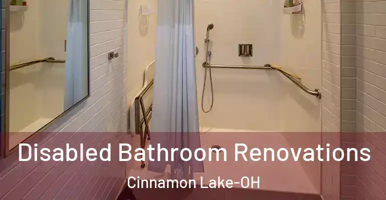 inner Bathroom imggen Disabled Bathroom Renovations Cinnamon Lake-OH