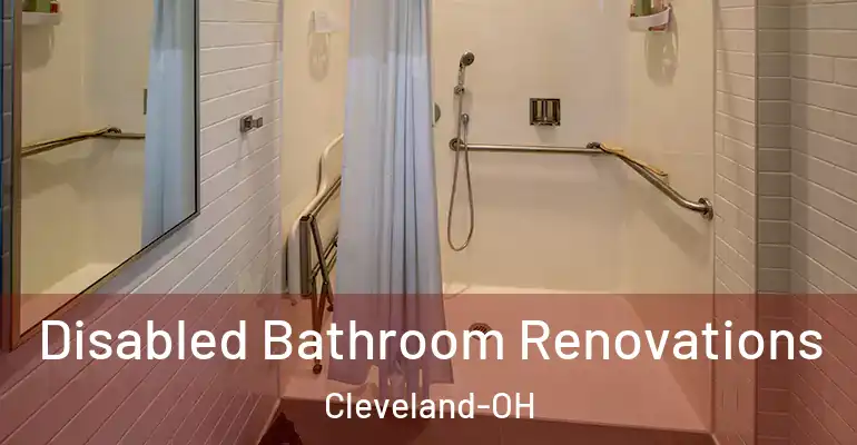 inner Bathroom imggen Disabled Bathroom Renovations Cleveland-OH