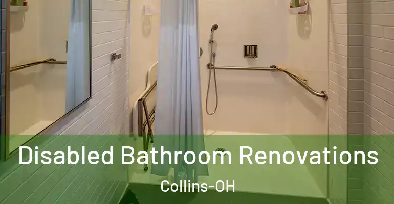 inner Bathroom imggen Disabled Bathroom Renovations Collins-OH