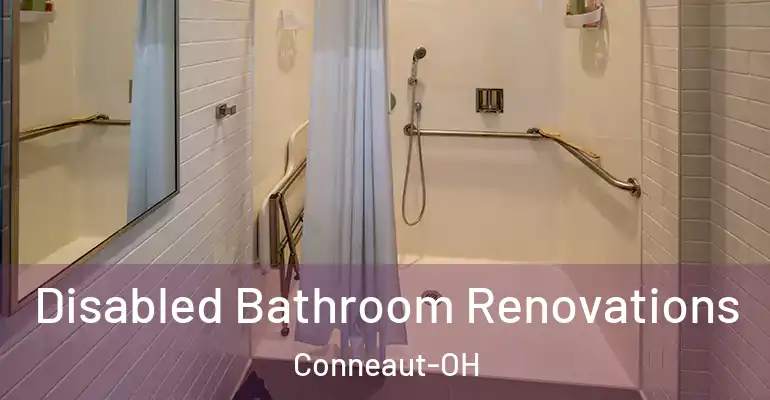inner Bathroom imggen Disabled Bathroom Renovations Conneaut-OH