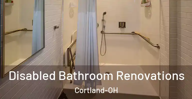 inner Bathroom imggen Disabled Bathroom Renovations Cortland-OH