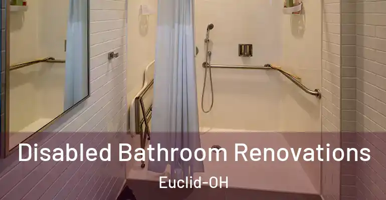 inner Bathroom imggen Disabled Bathroom Renovations Euclid-OH