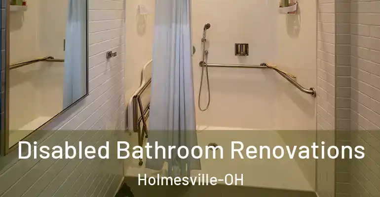 inner Bathroom imggen Disabled Bathroom Renovations Holmesville-OH