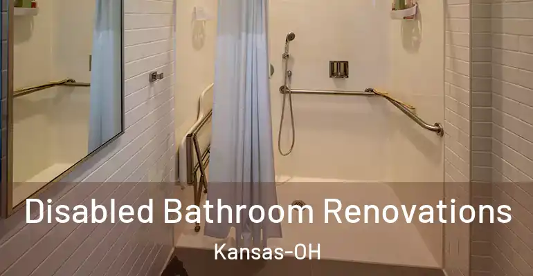 inner Bathroom imggen Disabled Bathroom Renovations Kansas-OH