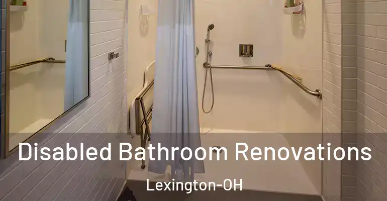 inner Bathroom imggen Disabled Bathroom Renovations Lexington-OH