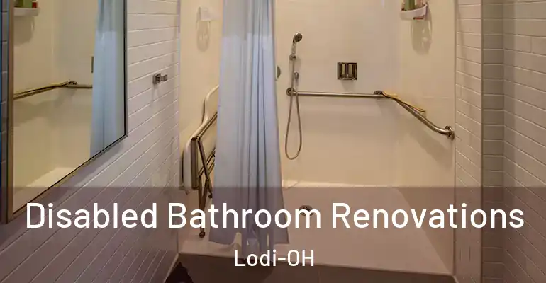 inner Bathroom imggen Disabled Bathroom Renovations Lodi-OH