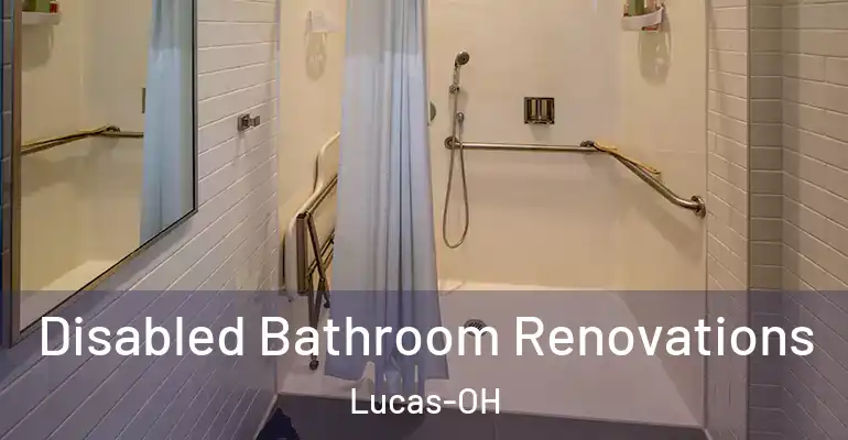 inner Bathroom imggen Disabled Bathroom Renovations Lucas-OH