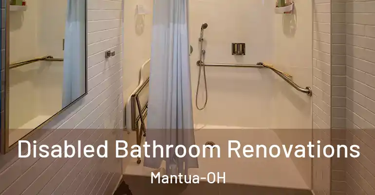 inner Bathroom imggen Disabled Bathroom Renovations Mantua-OH