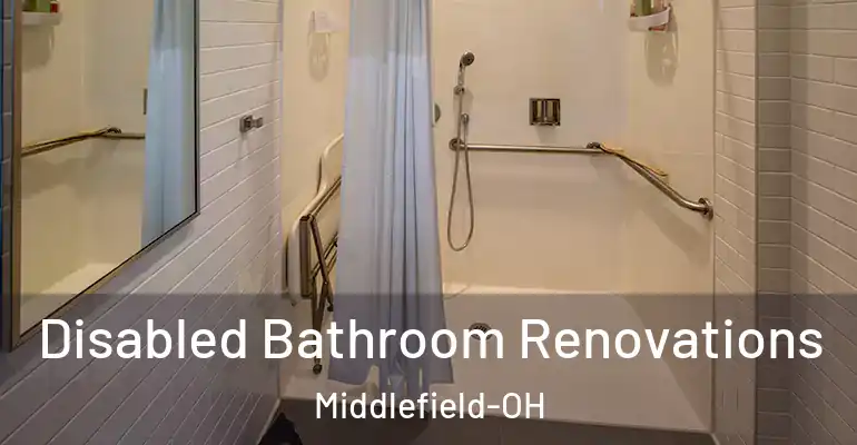 inner Bathroom imggen Disabled Bathroom Renovations Middlefield-OH