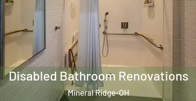inner Bathroom imggen Disabled Bathroom Renovations Mineral Ridge-OH