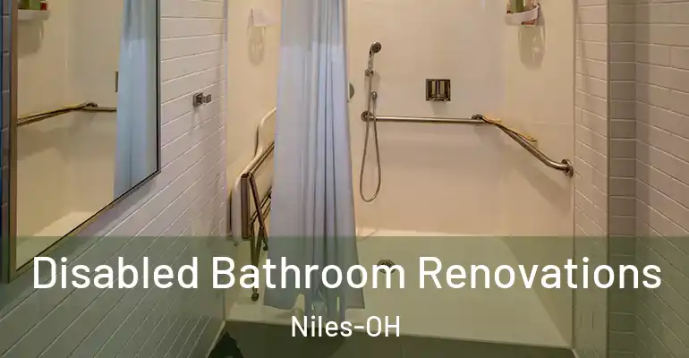inner Bathroom imggen Disabled Bathroom Renovations Niles-OH