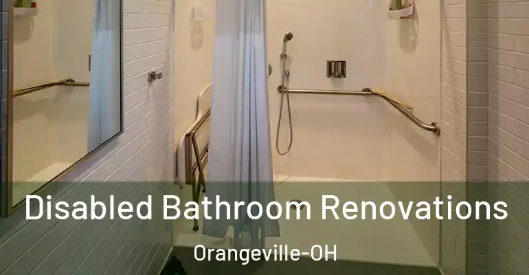 inner Bathroom imggen Disabled Bathroom Renovations Orangeville-OH