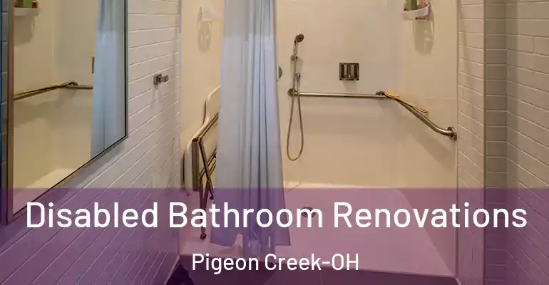 inner Bathroom imggen Disabled Bathroom Renovations Pigeon Creek-OH